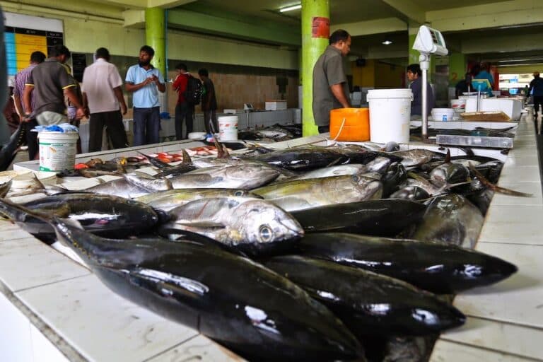 ރޯދަ ފެށުނީއްސުރެ މަހުގެ އަގު އެއްވަރެއްގައި ހިފަހައްޓައިފި