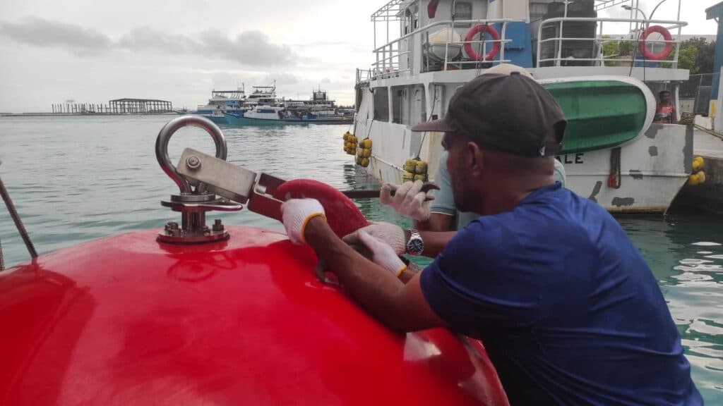ނަޑެއްލާގައި ދޮށީ ކަނޑުފައްޗެއް ގާއިމުކޮށްފި