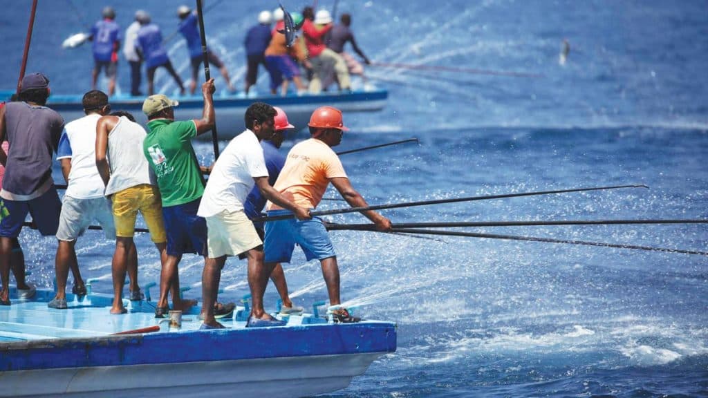މަސްވެރިންގެ ދުވަހާ ގުޅުވައިގެން މަސްވެރިންގެ ފޯރަމެއް ބާއްވަނީ