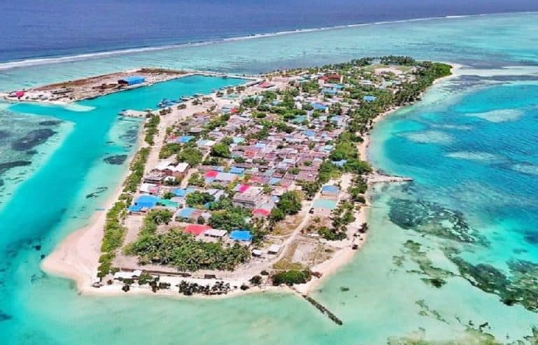 ދިއްފުށީ ބަނދަރު ބަލަހައްޓައިދޭނެ ފަރާތެއް ހޯދަނީ