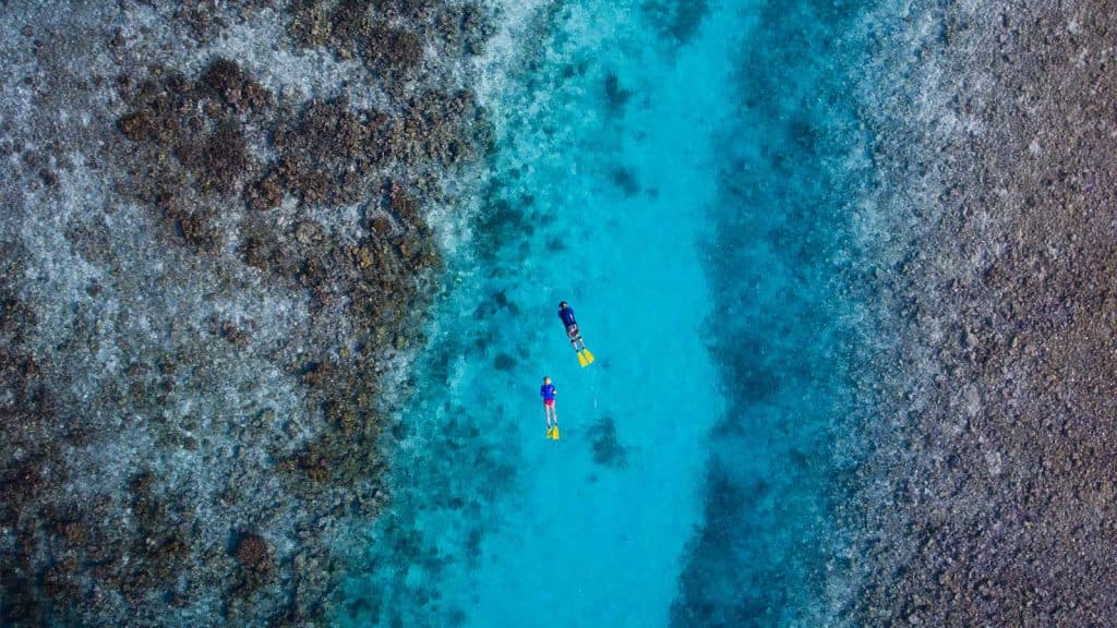 ސައުތުއަރި މެރިންޕާކު ސަރަހައްދު ރައްކާތެރިކޮށް ބެލެހެއްޓުމާއި ބެހޭ އެޑްވައިޒަރީ ކޮމިޓީގެ ރިސޯޓް މެންބަރުކަމަށް ކުރިމަތިލުމުގެ ފުރުސަތު!