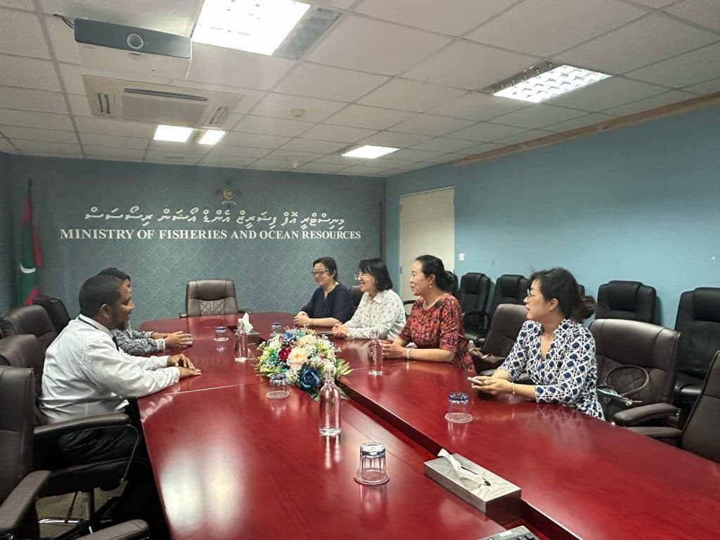 ޝަންހާއީ ޔުނިވަސިޓީން ފިޝަރީޒް މިނިސްޓްރީއަށް އެއްބާރުލުން ދެވިދާނެ ދާއިރާތަކާ ބެހޭގޮތުން މަޝްވަރާކޮށްފި