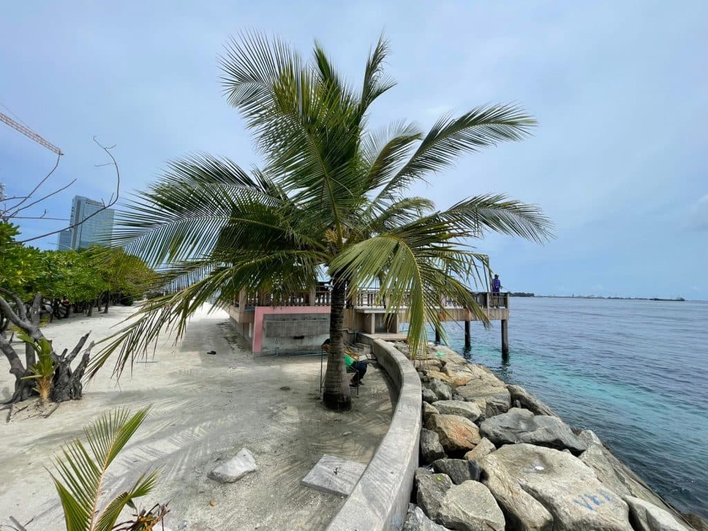 ވެސްޓްޕާރކް ސަރަހައްދުގައި މަސްބާނާ ޕްލެޓްފޯމެއް ޤާއިމްކުރަނީ