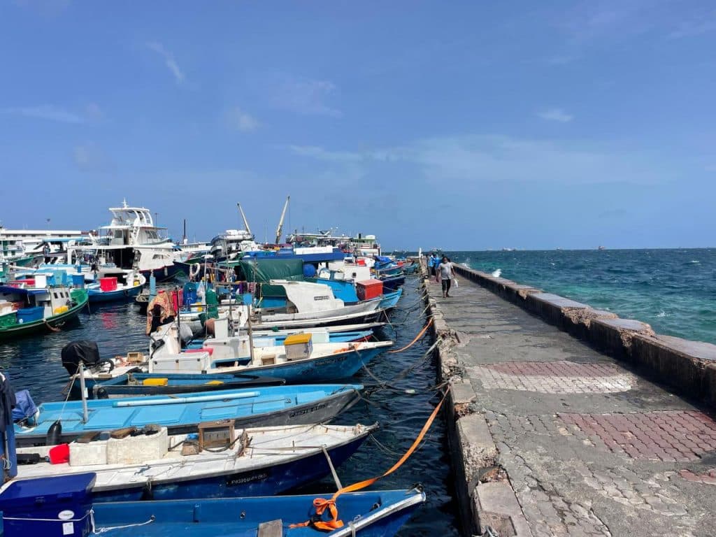 އުޅަނދުތައް މޮނިޓަރ ކުރުމުގެ ގައުމީ ނިޒާމް ގާއިމުކޮށްދޭނެ ބަޔަކު ހޯދަނީ