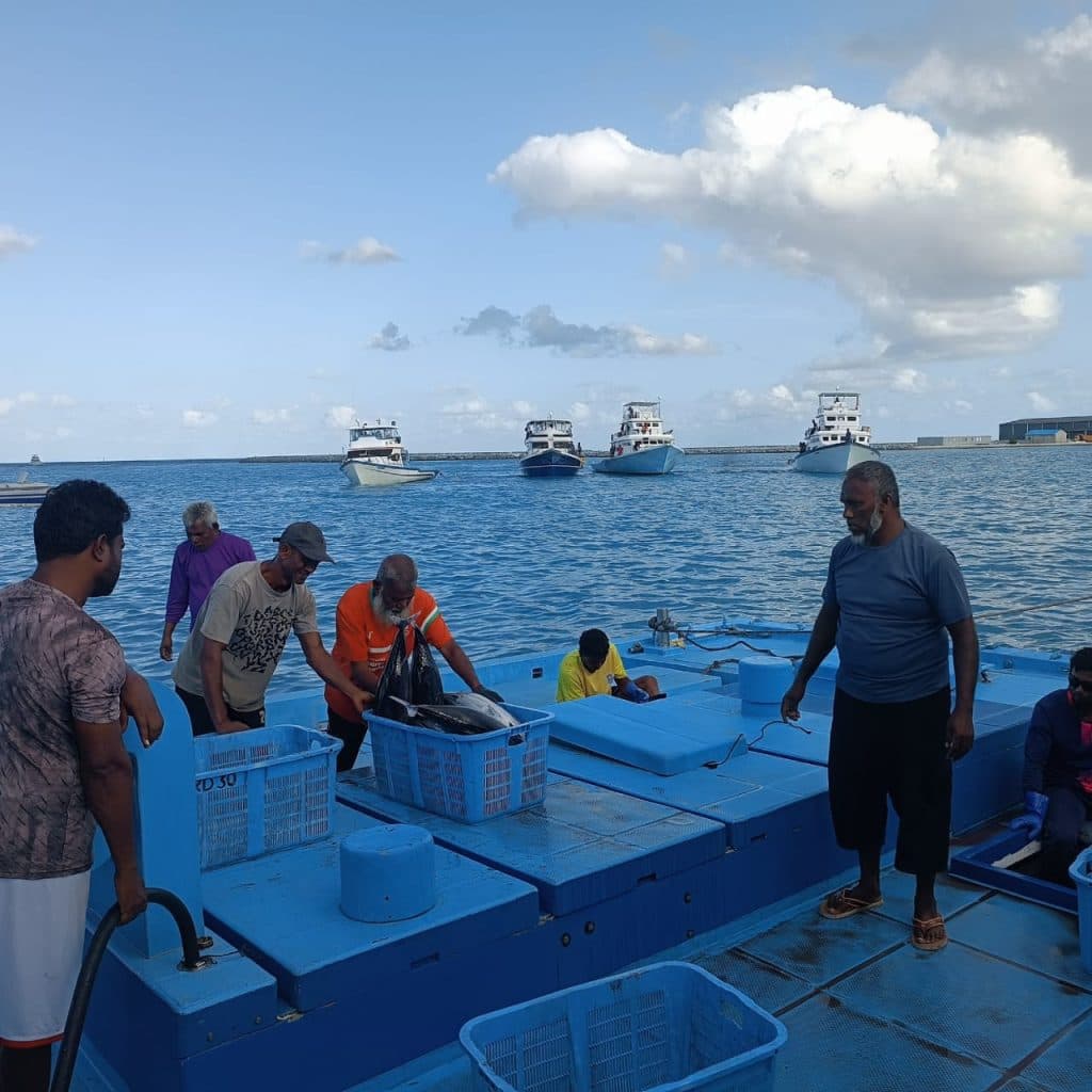 މަސްވެރިންގެ ދުވަހުގެ އެވޯޑްތަކަށް ކުރިމަތިލުމަށް ދިން މުއްދަތު އިތުރުކޮށްފި