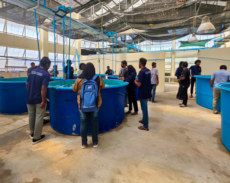 އަސާސީ މެރިކަލްޗަރ ކޯހުގެ ދެވަނަ ބެޗުގެ ކިޔެވުން ފަށައިފި
