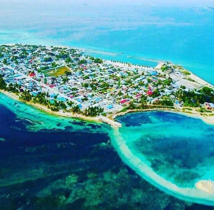 ހޯރަފުށީ ފަޅުގެ ދެފަރާތުގައި މަސް ކަނޑާ އަށި ހަދައިދޭނެ ފަރާތެއް ހޯދަނީ