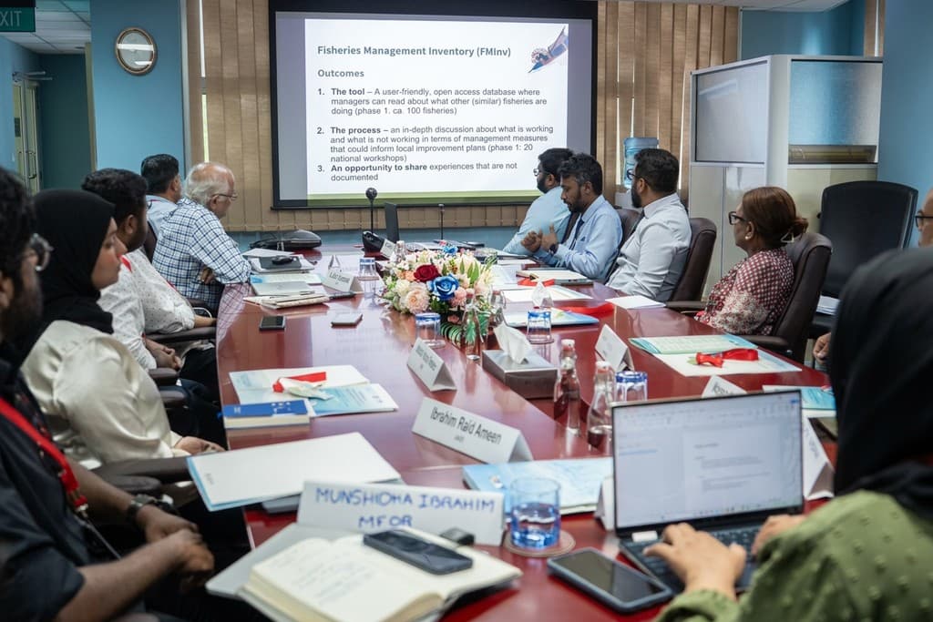 ’ފިޝްމެޕް‘ ޑޭޓާބޭސްއަށް ބޭނުންވާ މަސްވެރިކަން މެނޭޖްކުރުމާ ގުޅޭ ގައުމީ ދަފްތަރެއް އެކުލަވާލަނީ