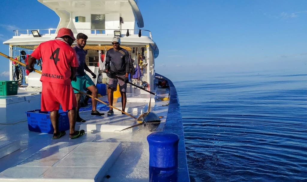 މަސްވެރިންގެ ދުވަހުގެ ރަސްމީ އިހުތިފާލުތައް ބޭއްވުމަށް ހުށަހެޅުމުގެ ފުރުސަތު!
