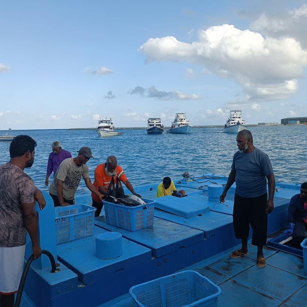 މެއިމަހު މިފްކޯއިން މަސްވެރިންނަށް 31 މިލިއަނަށްވުރެ ގިނަ ރުފިޔާ ދޫކޮށްފި
