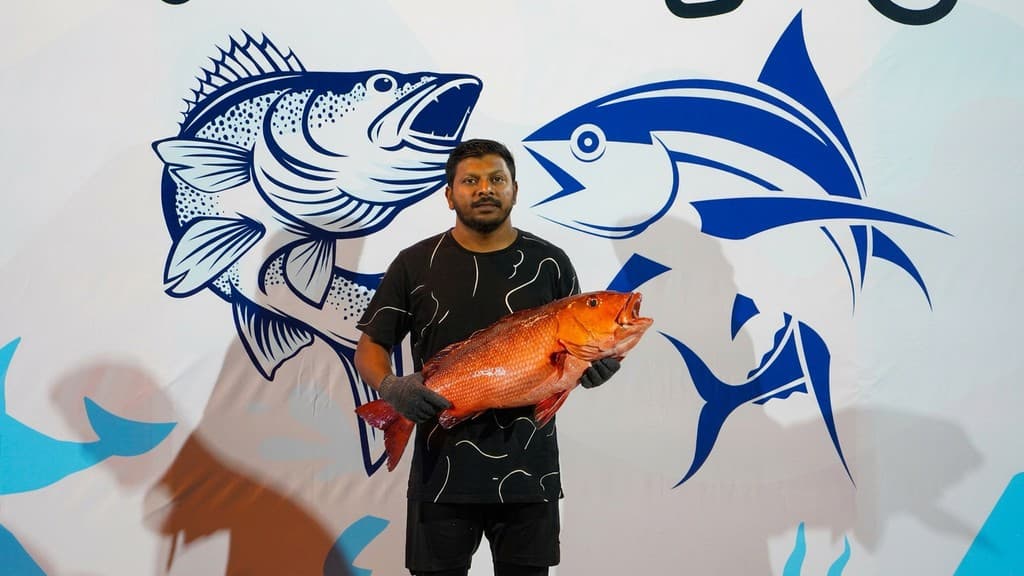 ވިލިނގިލީ އީދު މަސް ރޭހުގައި ބައިވެރިވުމުގެ ފުރުސަތު ހުޅުވާލައިފި