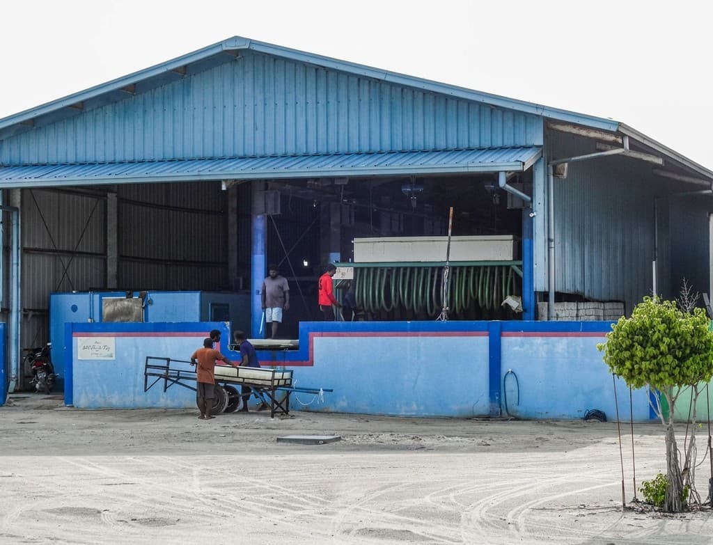 އިހަވަންދޫ އައިސް ޕްލާންޓް އޮޕަރޭޝަނަށް ގެނެސްފި