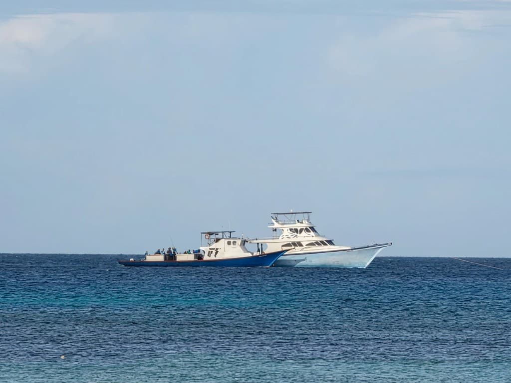 ޕްރައިވެޓް ކުންފުނިތަކުން ކަަޅުބިލަ މަސް ގަންނަ އަގު 21 ރުފިޔާއަށް އުފުލައިފި