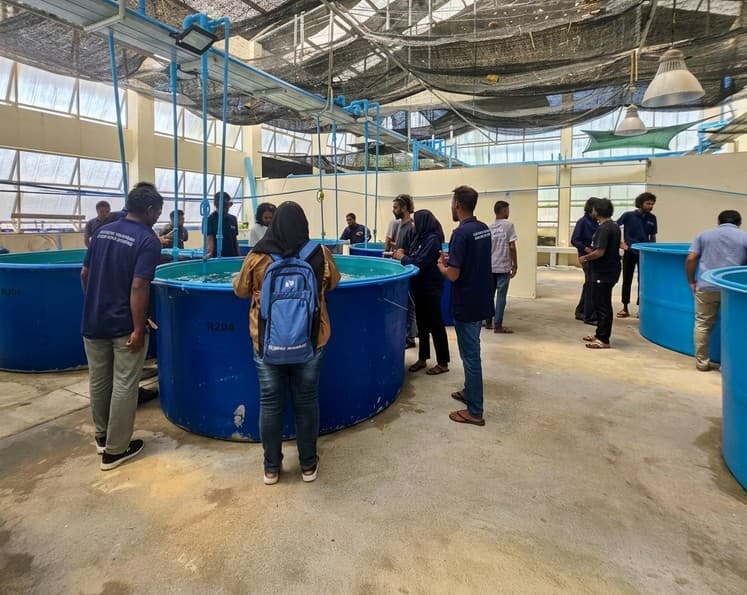 އަސާސީ މެރިކަލްޗަރ ކޯހުގައި ބައިވެރިވުމުގެ ފުރުސަތު ހުޅުވާލައިފި