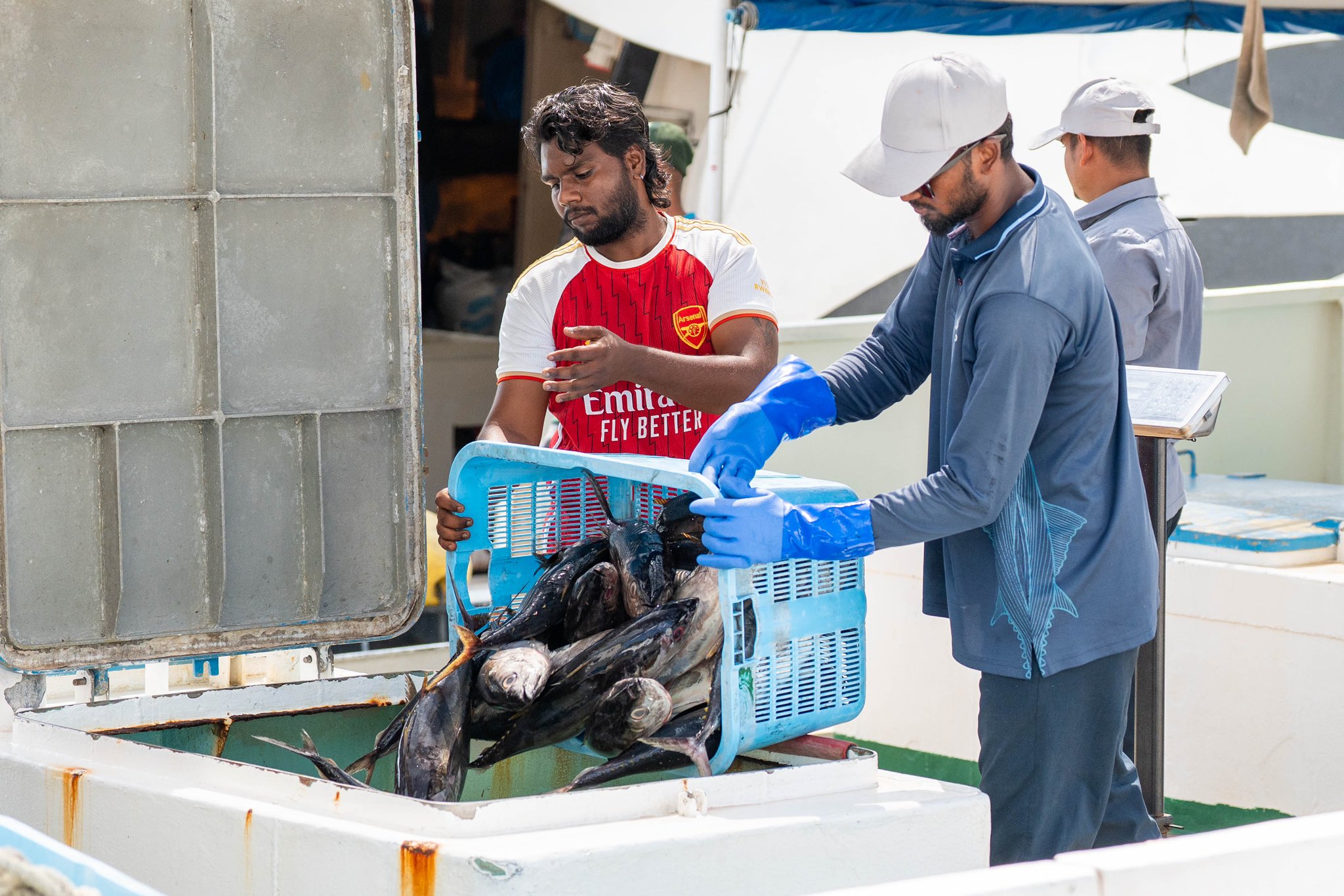 ފެބްރުއަރީ މަހު މަސްވެރިންނަށް 20 މިލިޔަނައްވުރެ ގިނަ ރުފިޔާ ދޫކޮށްފި