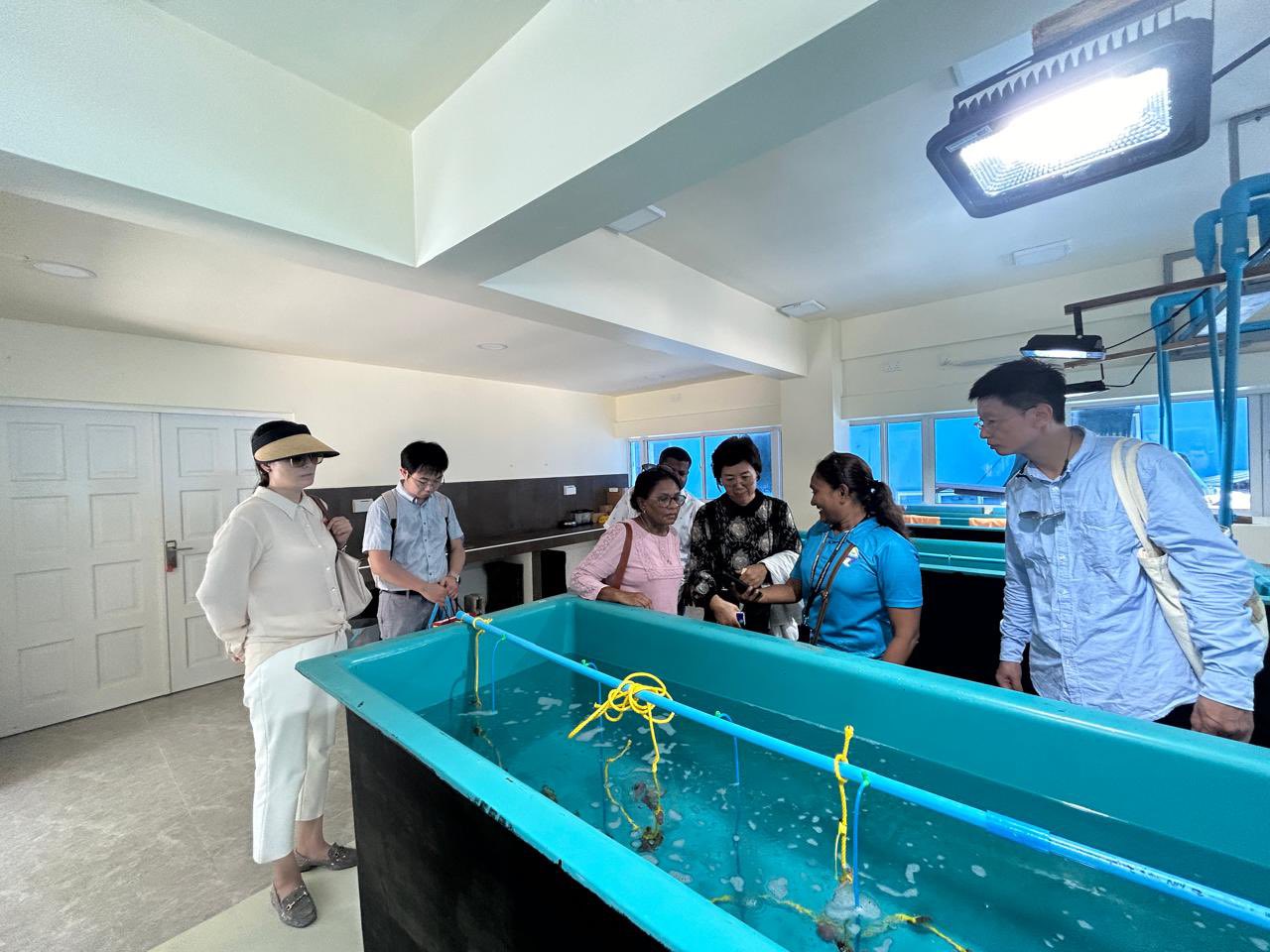 މެރިކަލްޗަރ ވިޔަފާރިތަކަށް ބޭނުންވާ މޫދުކޮށި ގަތުމަށް ޚާއްސަ ފައިނޭސް ސްކީމެއް ތައާރަފްކޮށްފި