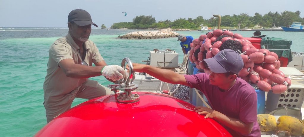 ތުޅާދޫ ބޭރުގައި ދޮށީ ކަނދުފައްޗެއް އަޅައިފި