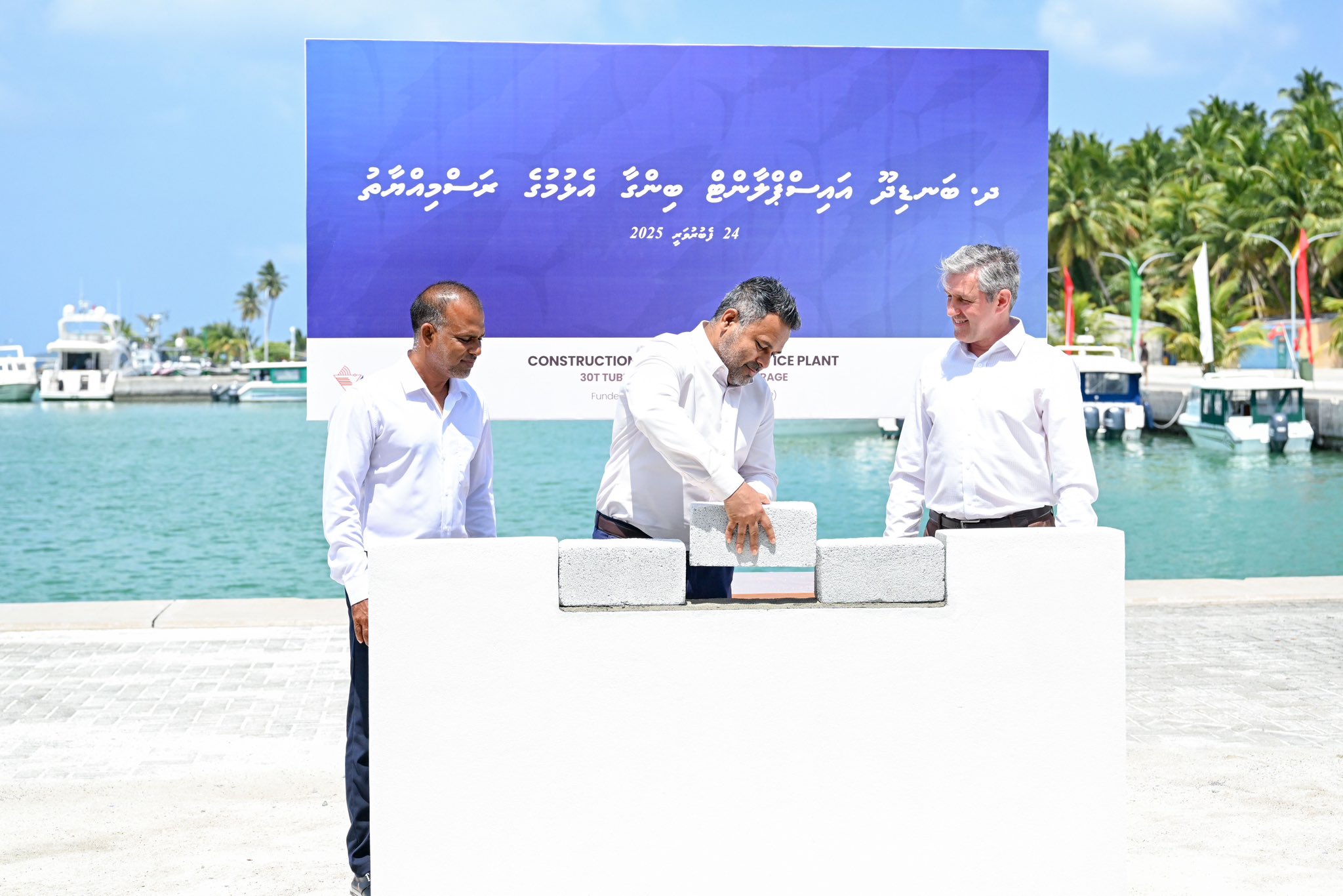 ބަނޑިދޫ އައިސް ޕްލާންޓްގެ ބިންގާ އަޅައިފި