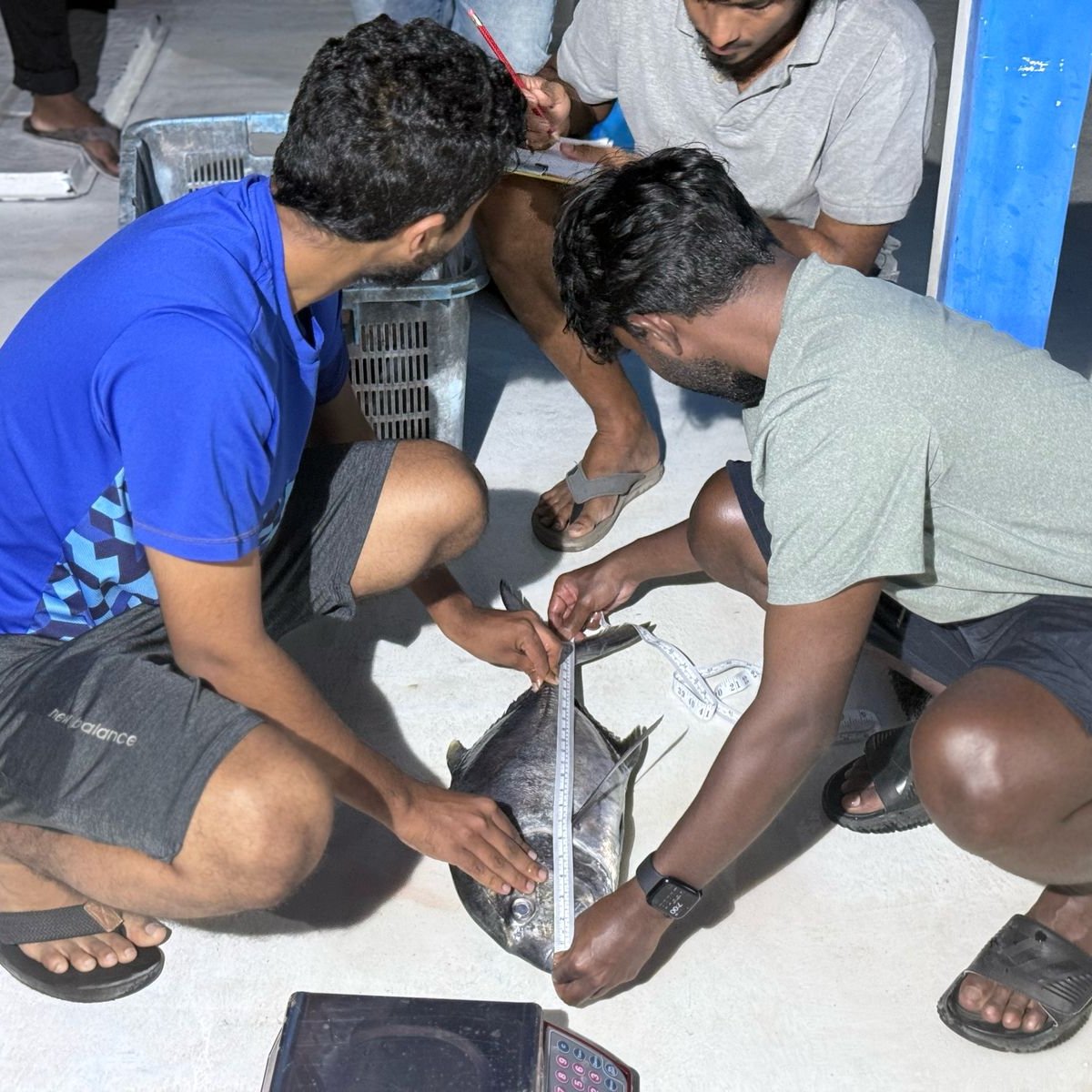 މަސްވެރިކަމުގެ ދާއިރާއިން ރާއްޖެއިން ބޭރުން މަތީ ތައުލީމް ހޯދުމުގެ ފުރުސަތު!