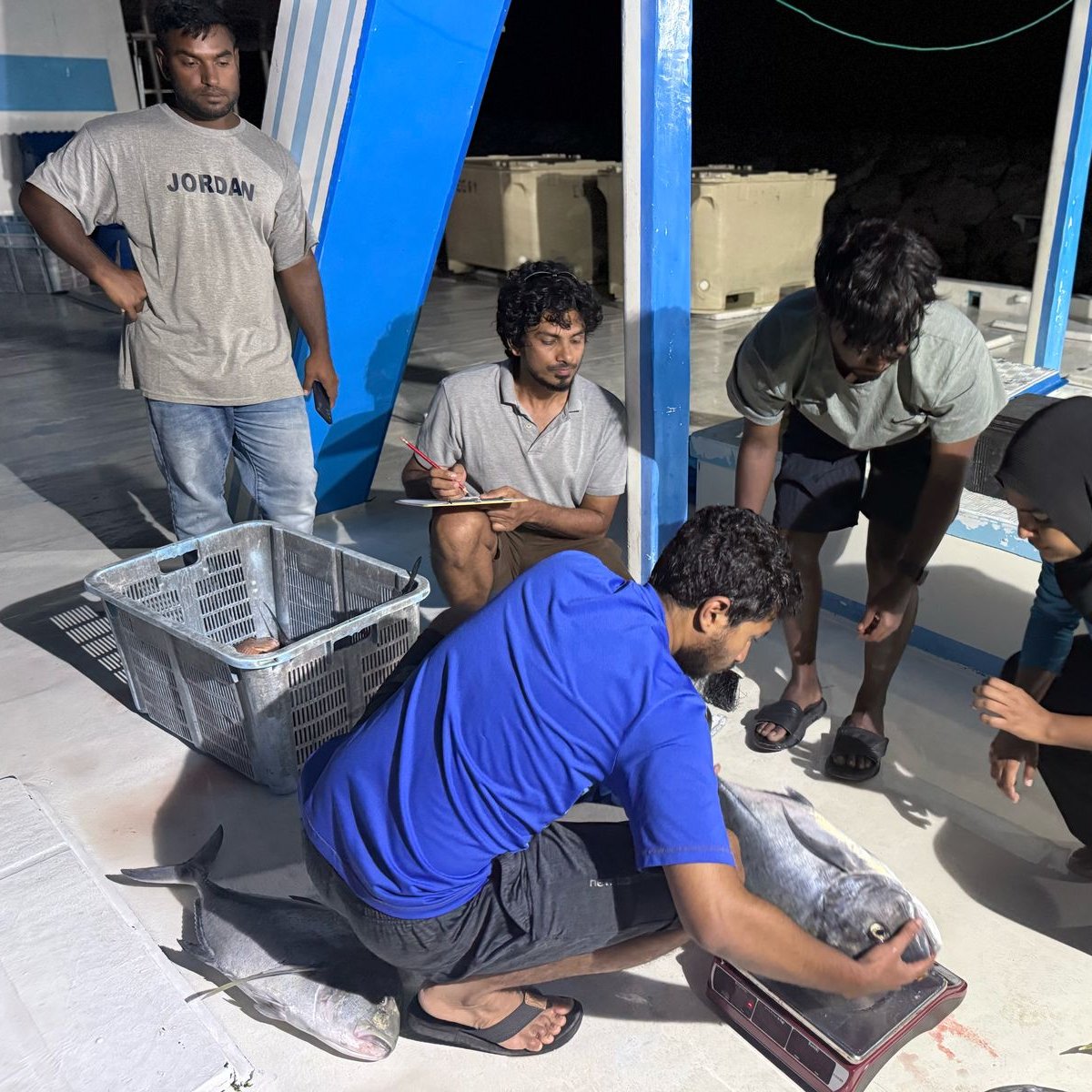 ކަނޑުމަހުގެ މަސްވެރިކަމުގެ ސައިންޓިފިކް މައުލޫމާތު ނެގުމުގެ ޕްރޮގްރާމް ފަށަން ތައްޔާރު ވަނީ