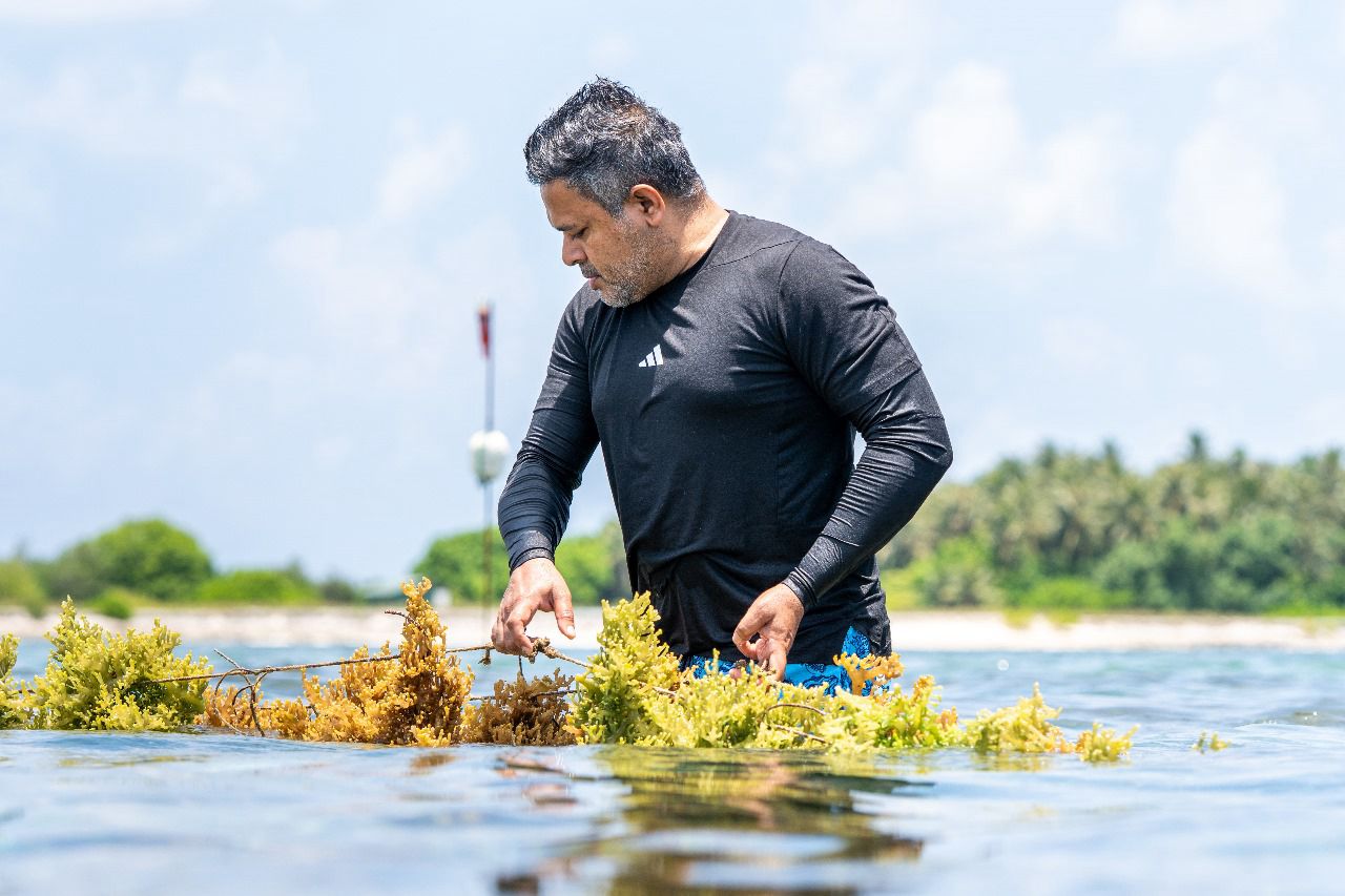 ދިވެހީންގެ އަމިއްލަވަންތަކަމާއި ގުޅިގައިވާ ކަނޑު ހިމާޔަތްކުރުން ދިވެހީންނަށް ލާޒިމު: ފިޝަރީޒް މިނިސްޓަރު