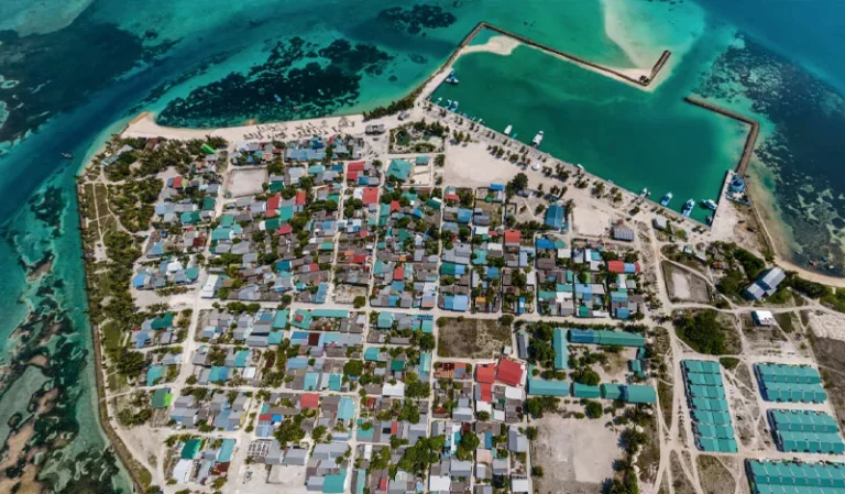 ތުޅާދޫގައި މަސް މާރުކޭޓެއް އަޅާދޭނެ ފަރާތެއް ހޯދަނީ