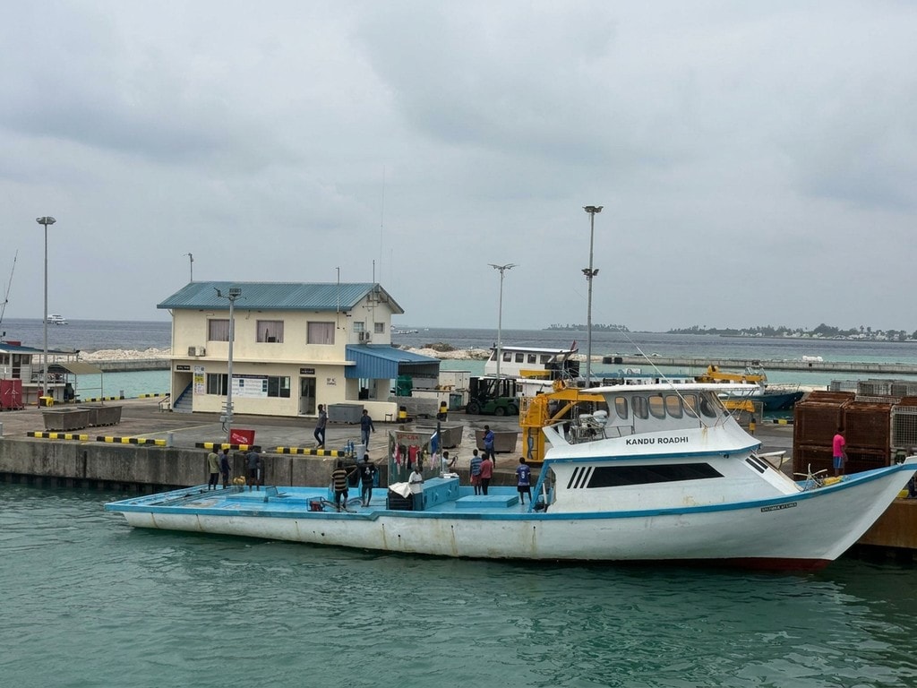 މިފްކޯއިން 18 ރުފިޔާއަށް މަސް ގަންނަން ފެށުމާއެކު މިފްކޯއަށް މަސްލިބޭ މިންވަރު ބޮޑުތަނުން މައްޗަށް