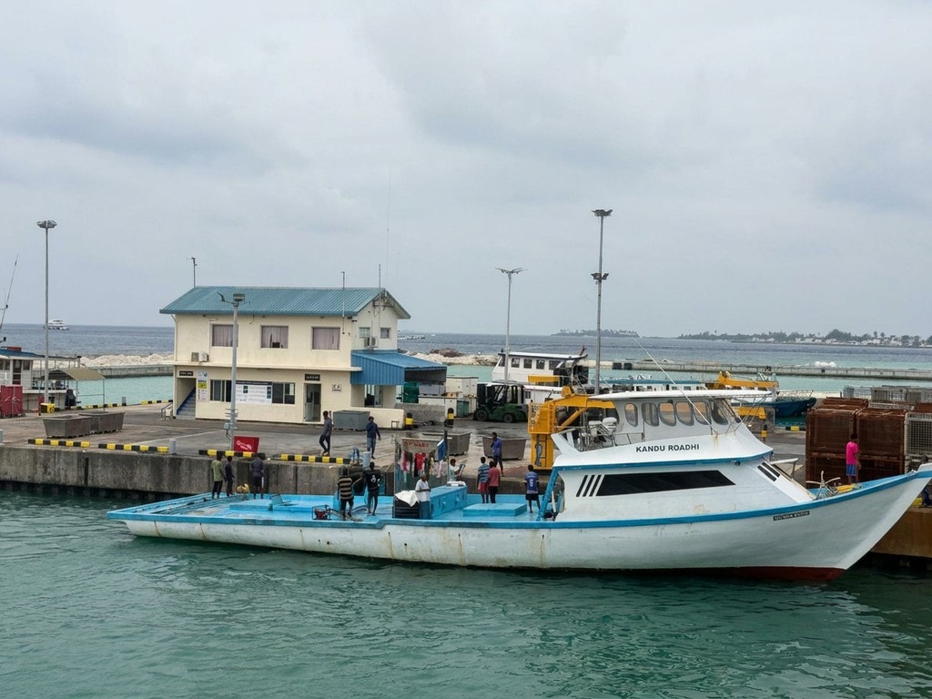 މިފްކޯގެ ސެންޓަރުތަކުން މިއަދު މަސް ގަންނަނީ ކިލޯއެއް 18ރުފިޔާއަށް!