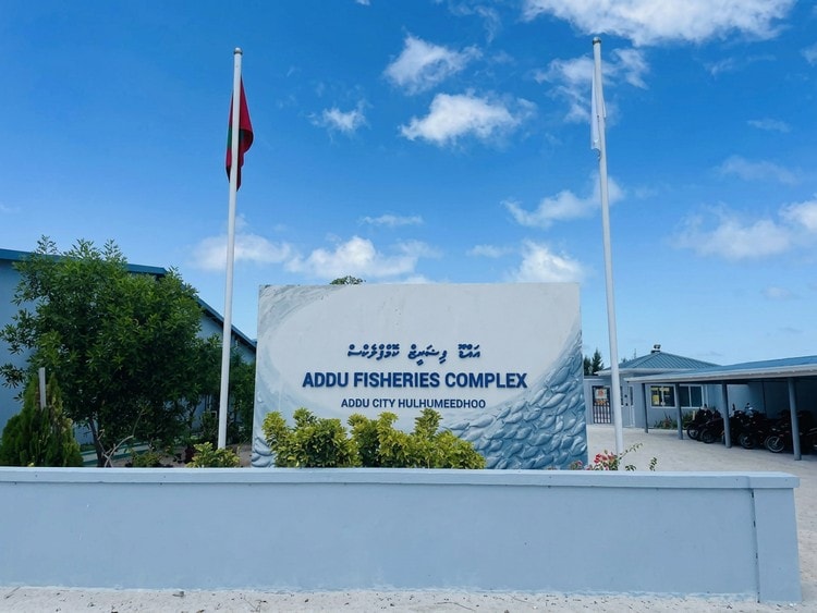 އީދު ބަންދަށް ފަހު މިފްކޯއިން މަސް ގަންނަން ފަށާނީ މިމަހު 30ގައި