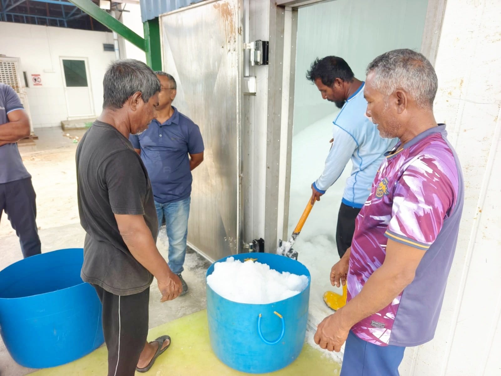 ކަނޑުއޮތްގިރިން މަސްވެރިންނަށް އައިސް ވިއްކަން ފަށައިފި