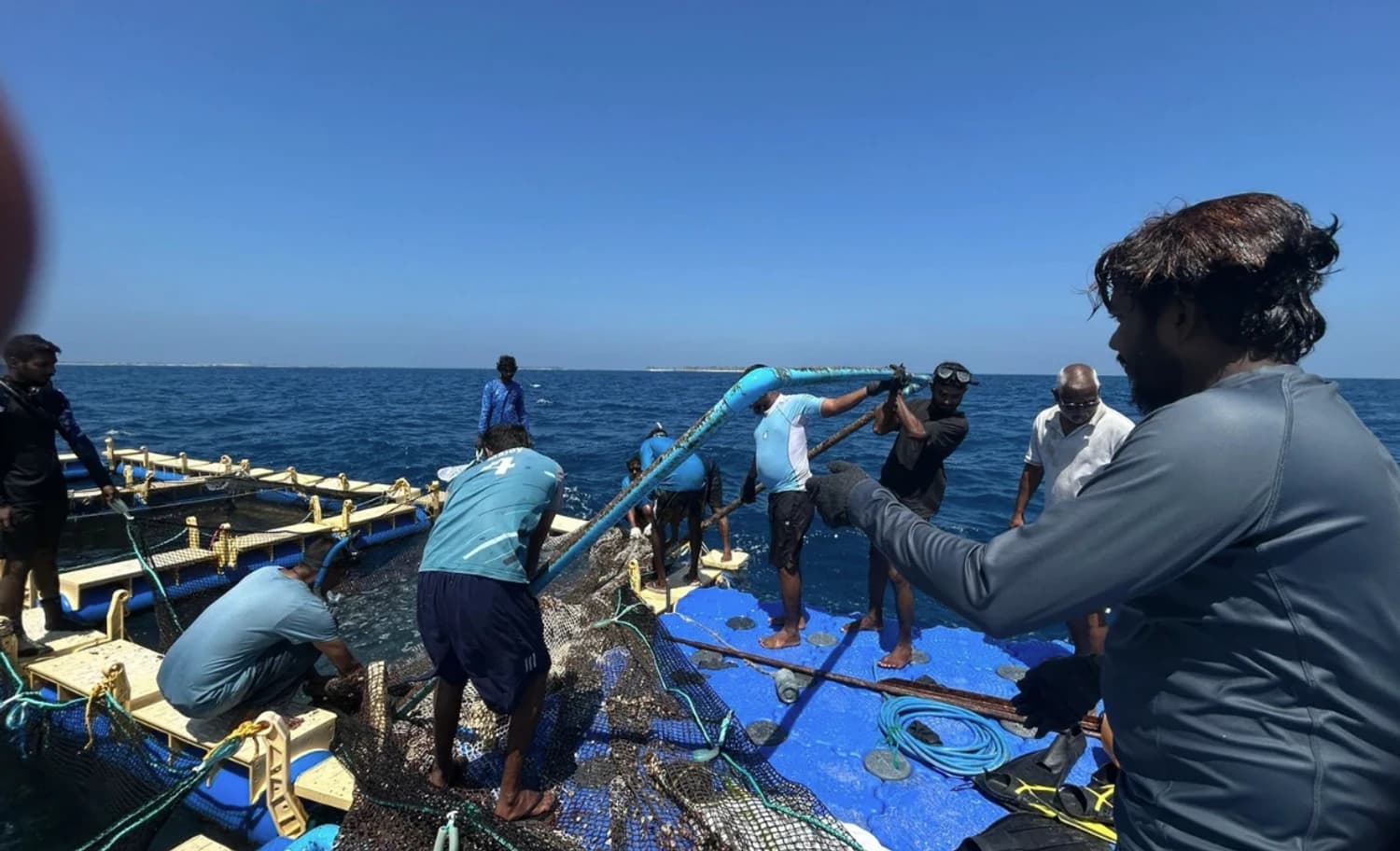 މެރިކަލްޗަރ ސިނާޢަތް ފުޅާކުރުމަށް ޤާނޫނީ އޮނިގަނޑު ހަރުދަނާކުރަނީ