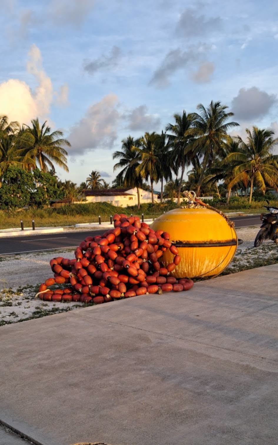 ހުޅުމީދޫ ބޭރުން ކަނޑައިގެންދިޔަ ވަދުކަނދުފަތީގެ ބޮއެ "އާޝާން" ދޯނިން އެއްގަމަށް ގެނެސްދީފި