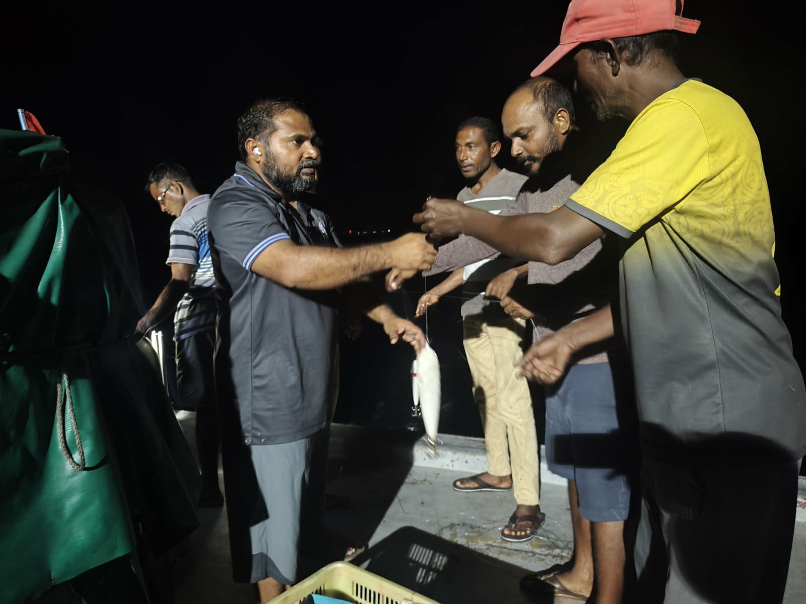 ވިލިނގިލީގައި ތުތި ބޯވަދިލަމަހުގެ މަސްވެރިކަމުގެ ތަމްރީނު ޕްރޮގްރާމް ކުރިޔަށްގެންގޮސްފި
