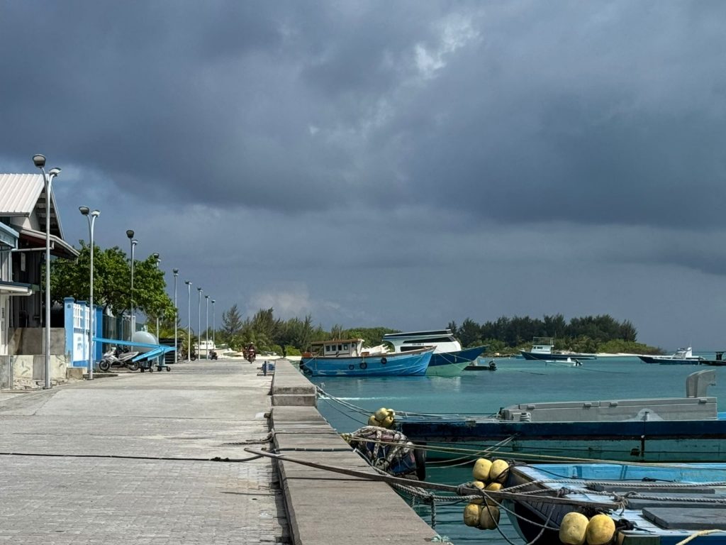 އޮޑިފަހަރަށް ތެޔޮ އަޅަން ޚާއްސަ ސަރަހަައްދެއް ތިނަދޫ ސިޓީ ކައުންސިލުން ކަނޑައަޅައިފި