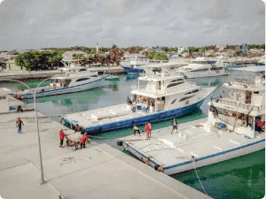 ތިލައުތުރު މަސް ރޭހުގައި ބައިވެރިވުމުގެ ފުރުސަތު ހުޅުވާލައިފި