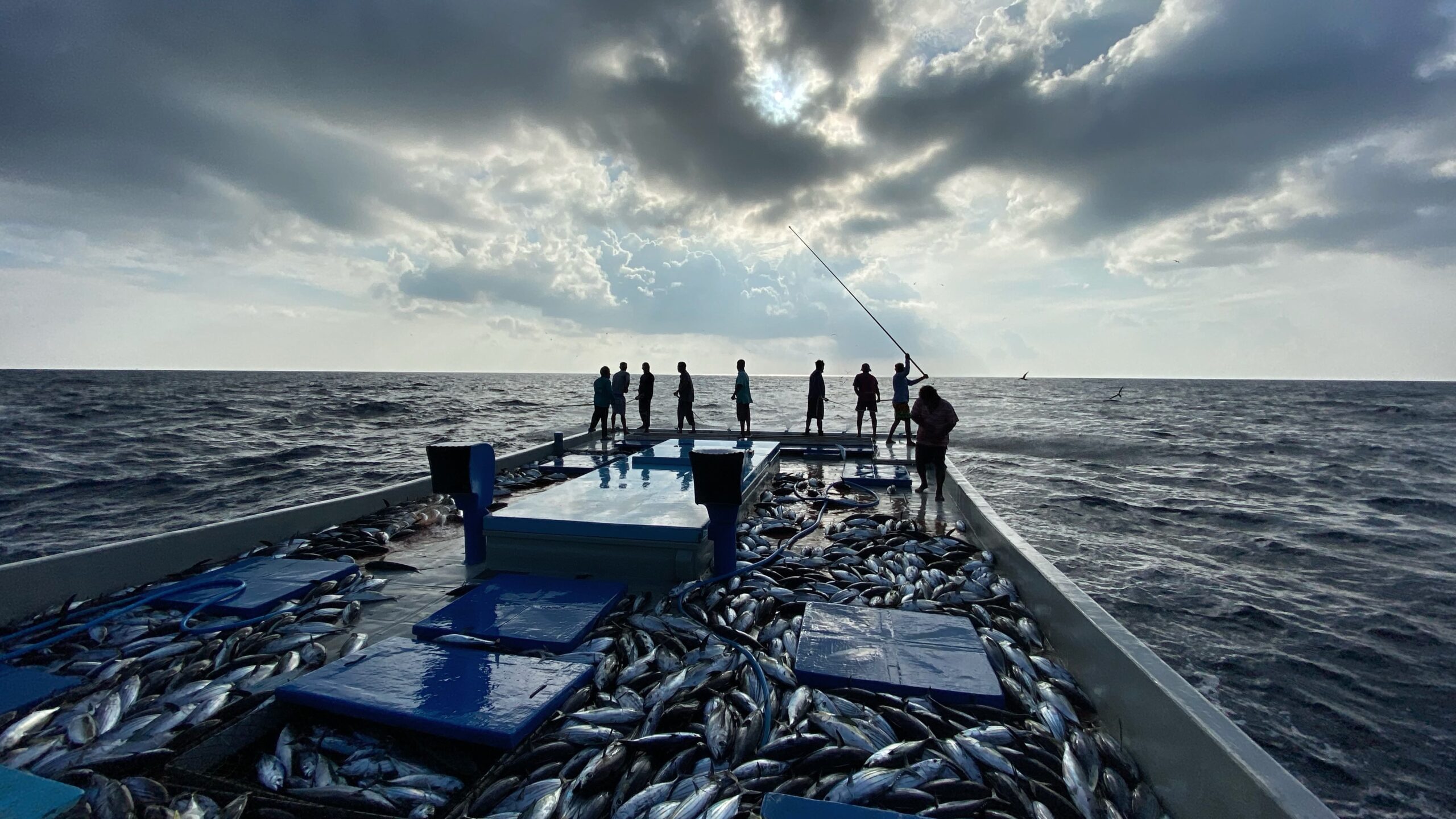 MIFCO clears pending payments for fish purchased up to January 25