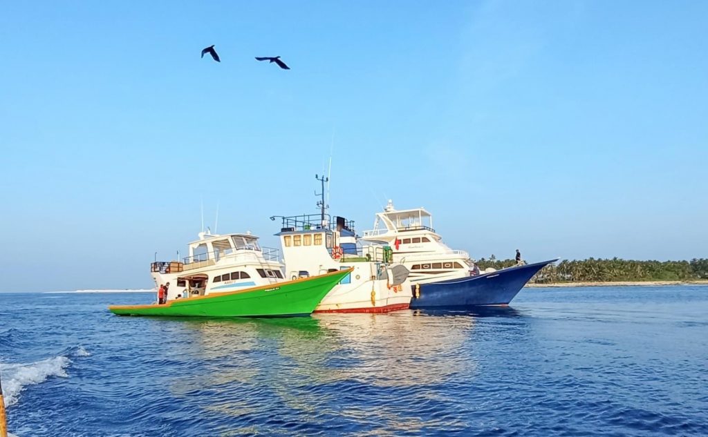 މިދިޔަ 15 މަހުގެ ތެރޭގައި އެންމެ ގިނަ އަދަދަކަށް މަސްގަތީ އިއްޔެ: މިފްކޯ