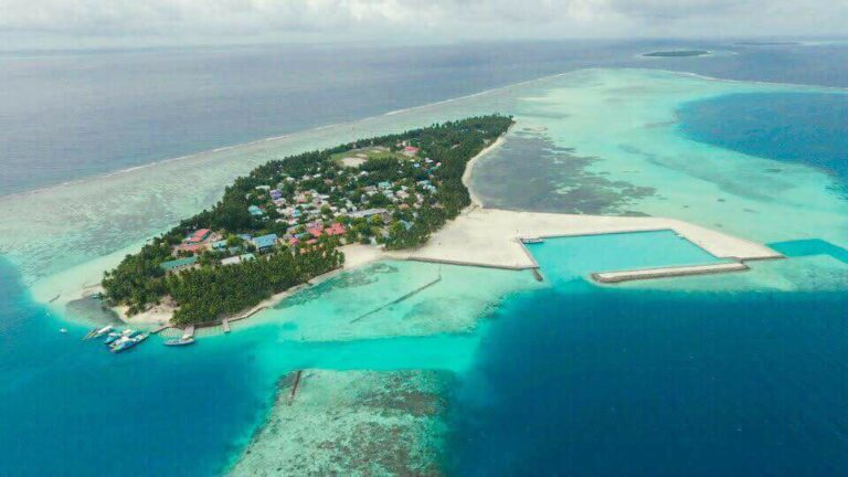 Fish Cutting Platform to be Built in Magoodhoo
