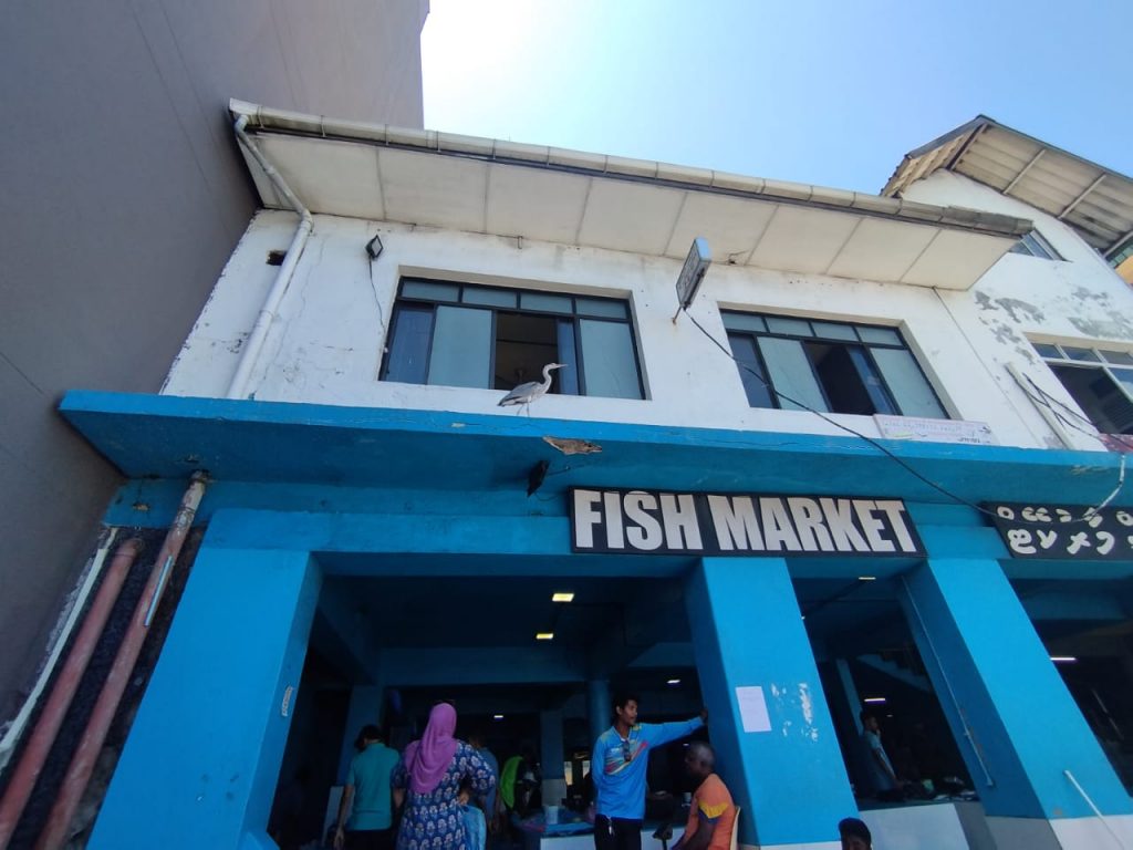 މާލޭ ރޯމަސް މާރުކޭޓު އިމާރާތުގެ ފުރަތަމަ ފްލޯއިން ފިހާރައެއް ކުއްޔަށް ދިނުމަށް އަލުން ހުޅުވާލައިފި
