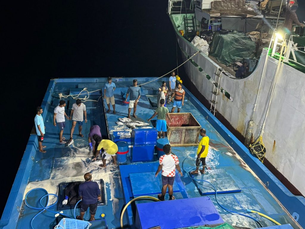 MIFCO Records Highest January Fish Purchases Since 1997