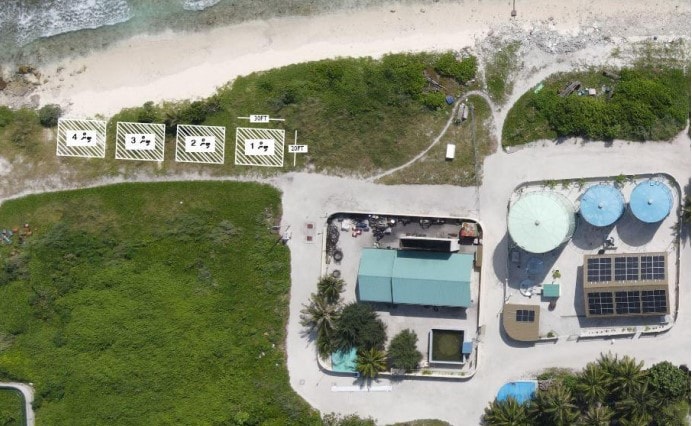 Innamaadhoo Council Leases Land for Salted Fish Processing