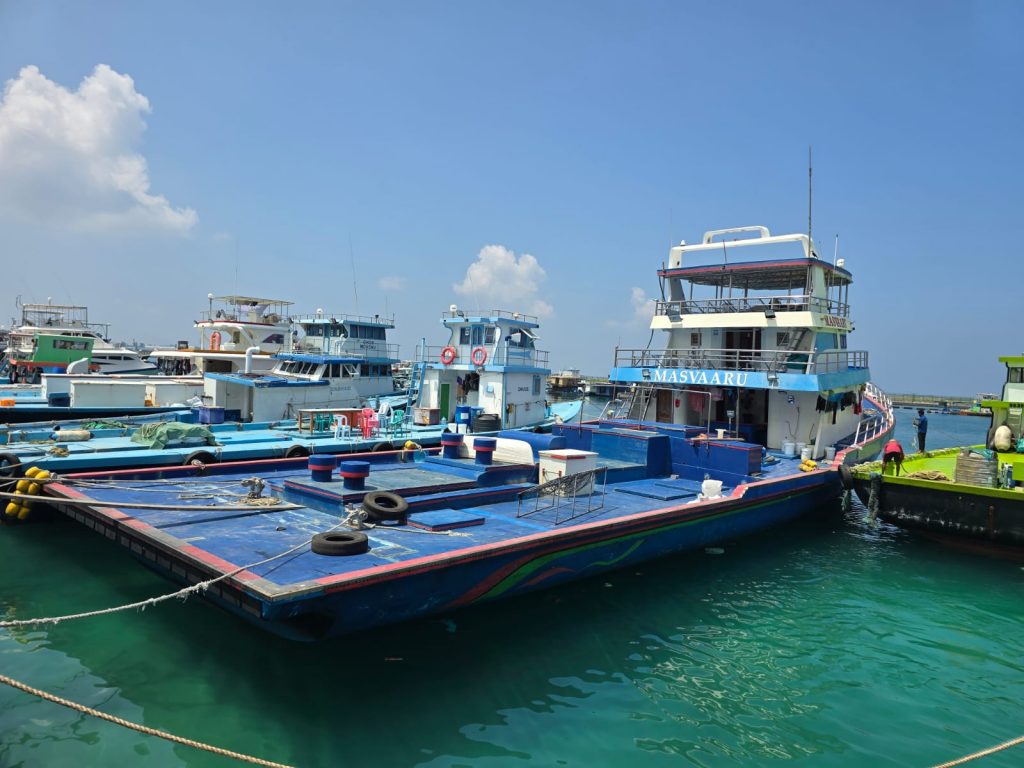 Ensis starts buying fish from Gemanafushi harbor at MVR 18 starting today