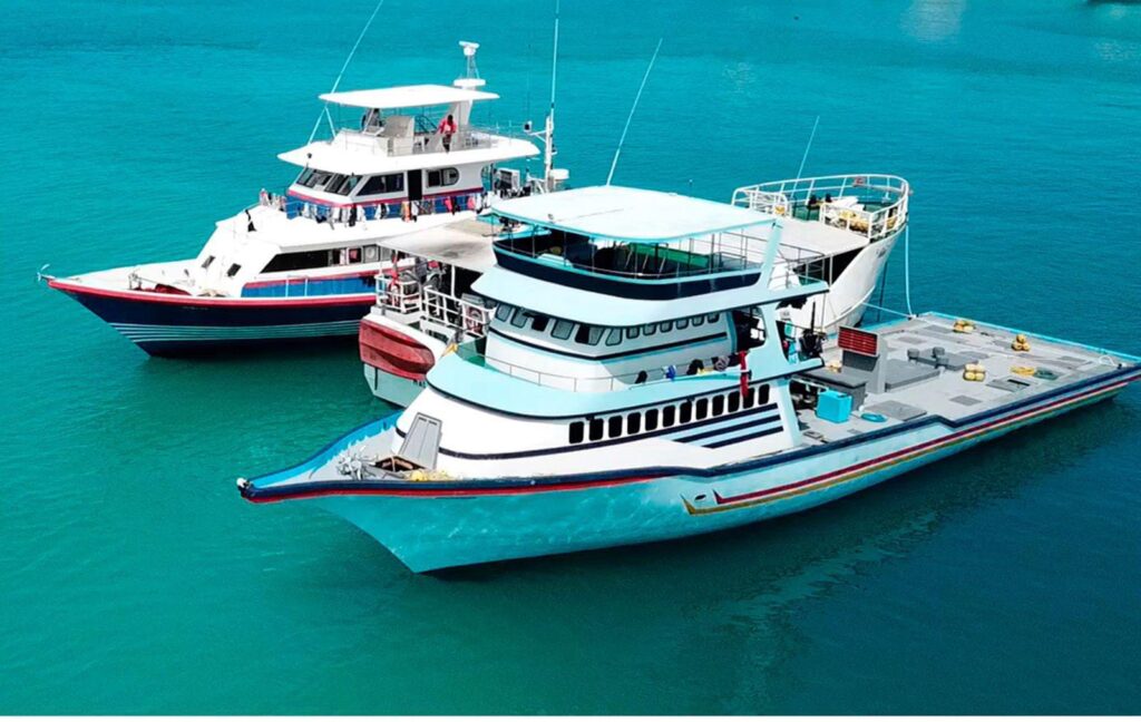 ކަޅުބިލަމަސް ކިލޯއެއް 21 ރުފިޔާއަށް ގަތުމަކީ ދެމެހެއްޓެނިވި މަސްވެރިކަން ހަރުދަނާކުރަން ސަރުކާރުން ގެންގުޅޭ ސިޔާސަތުގެ ދަށުން ގެނެވުނު ބަދަލެއް: މިފްކޯ
