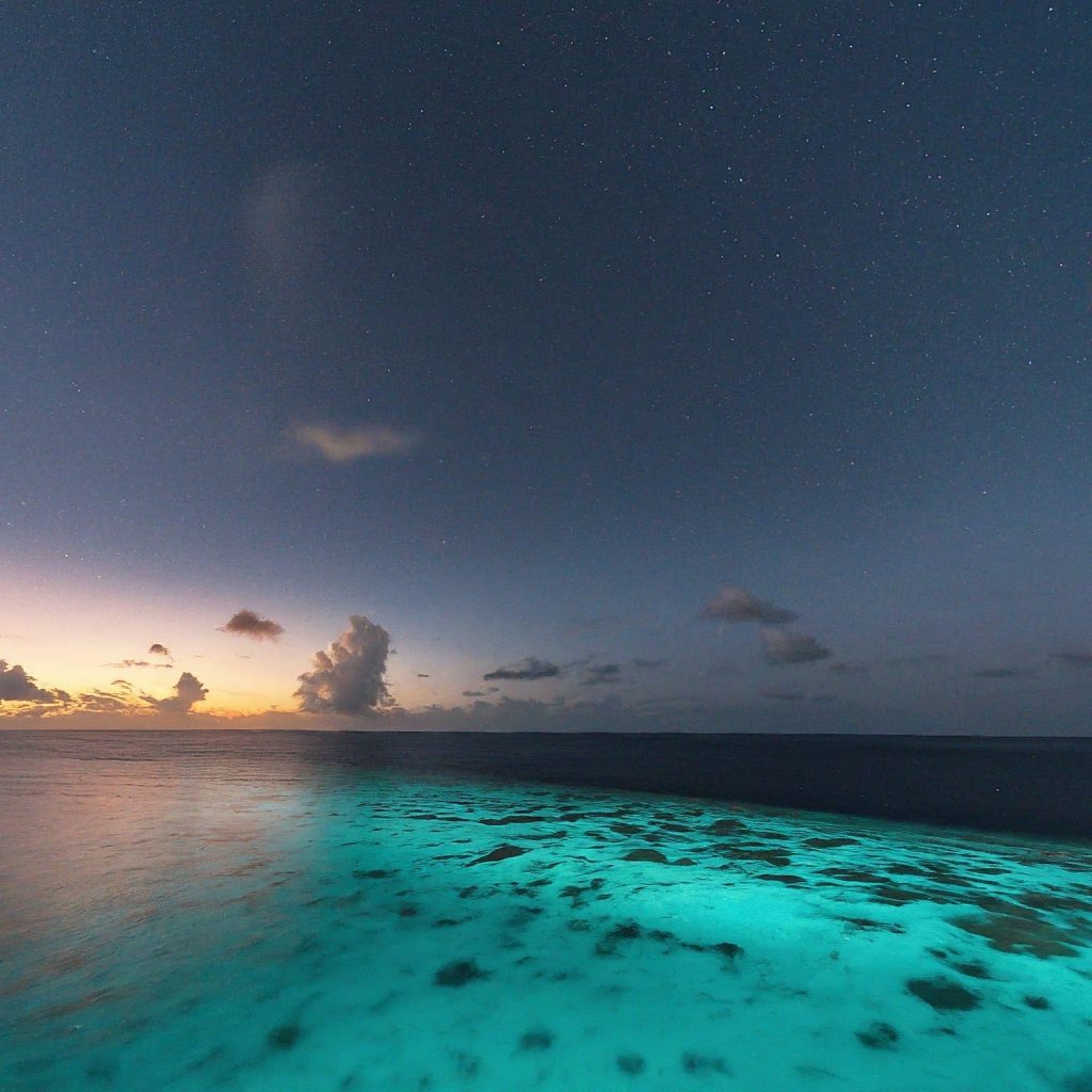 މިރޭ މޫސުން ރަނގަޅު، ކަނޑުވެސް މަޑު: މެޓް
