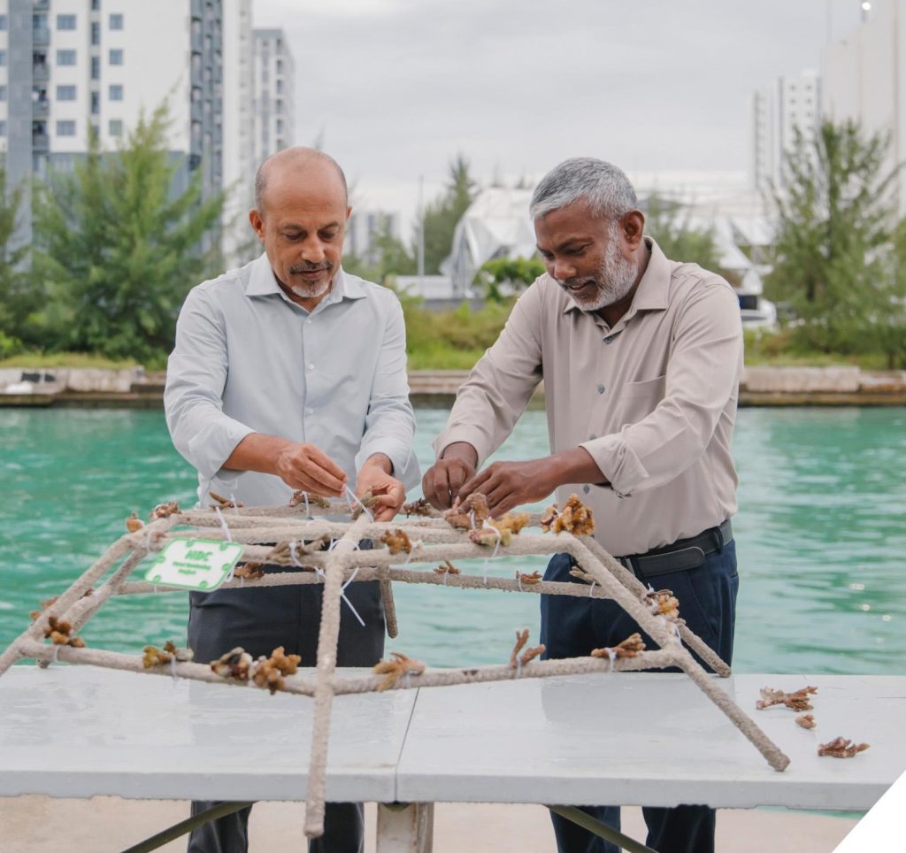 Coral planting initiative launched in Hulhumale