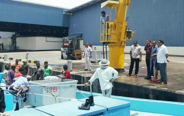 MIFCO to sell fuel and ice tomorrow despite halting fish purchases