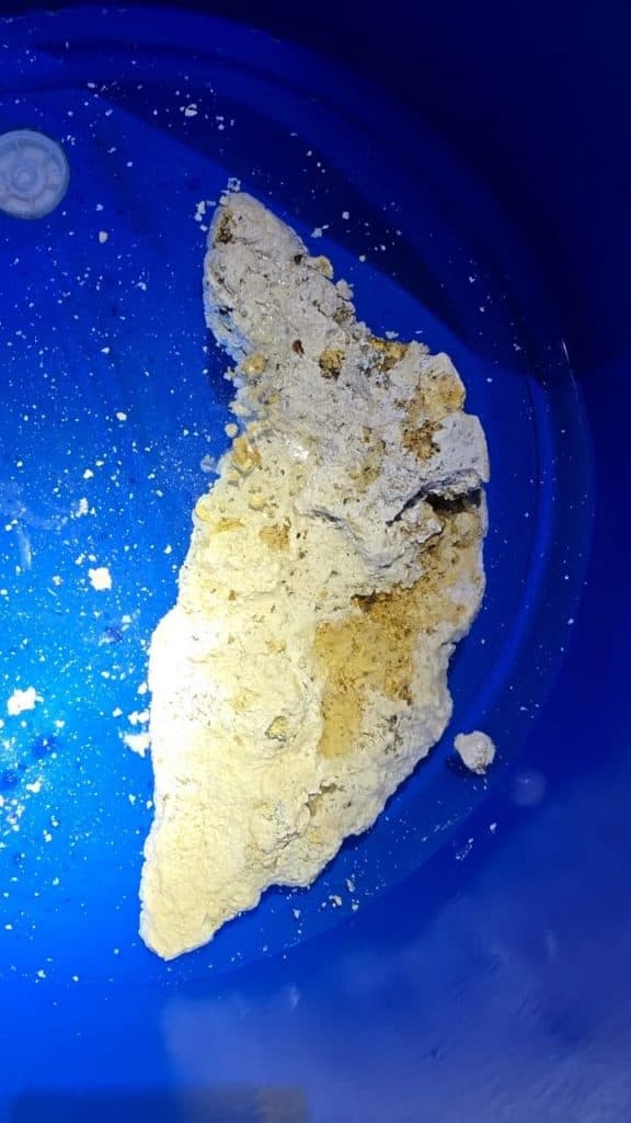 Maduvvari fishing boat finds suspected ambergris